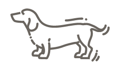 Clinic logo